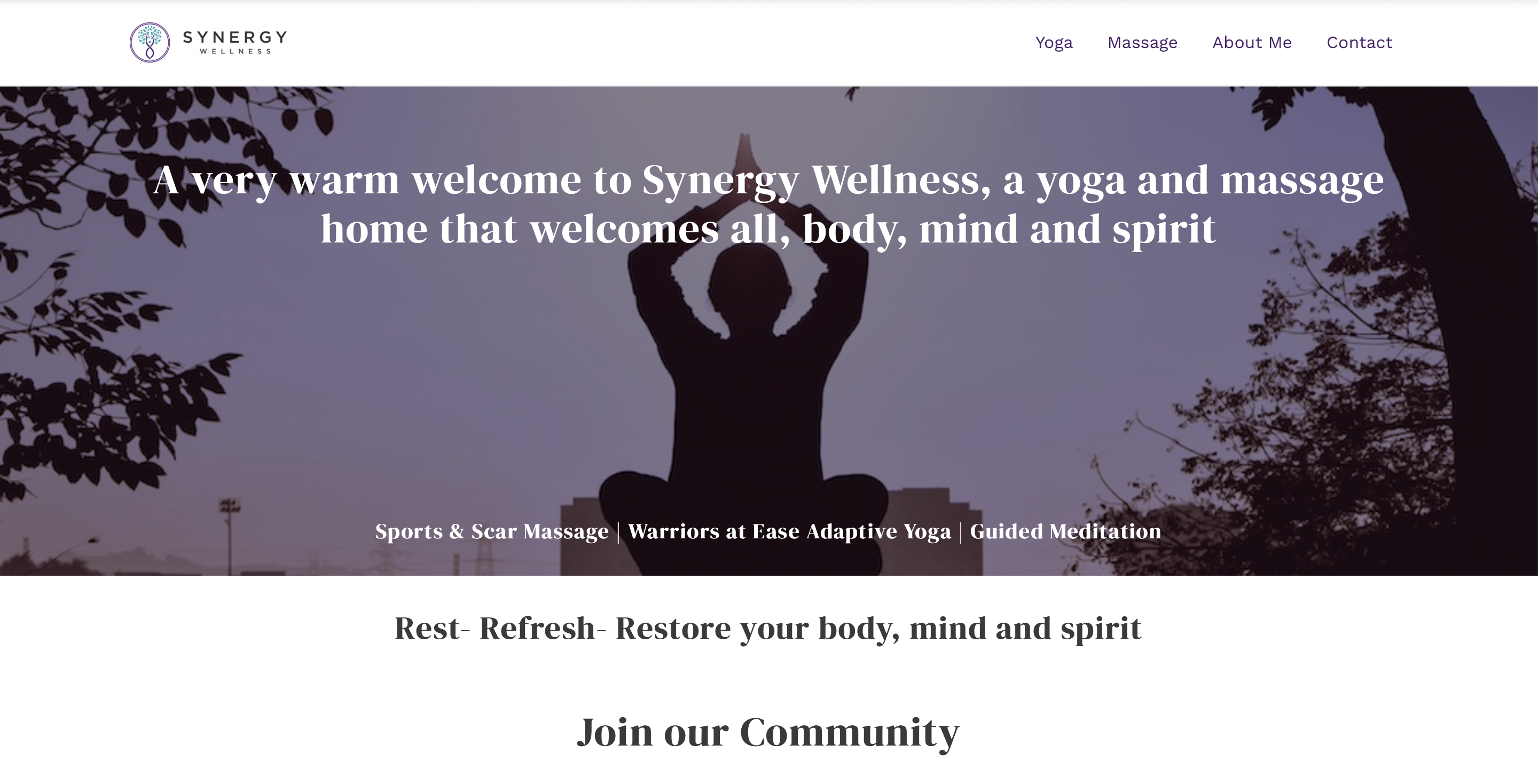 synergy wellness website